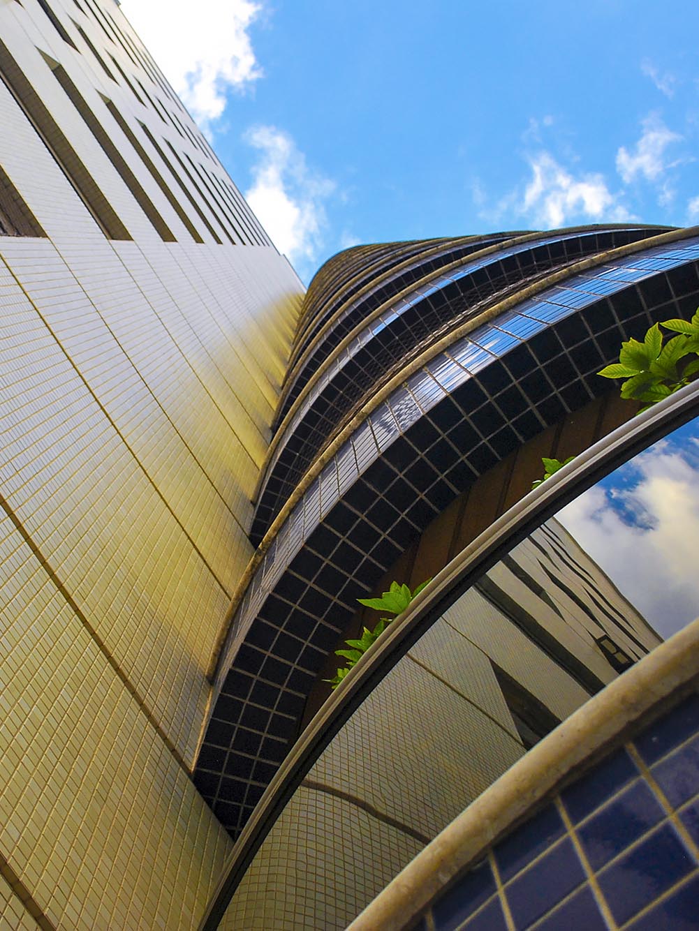 Dona Guilhermina — perspectiva 10