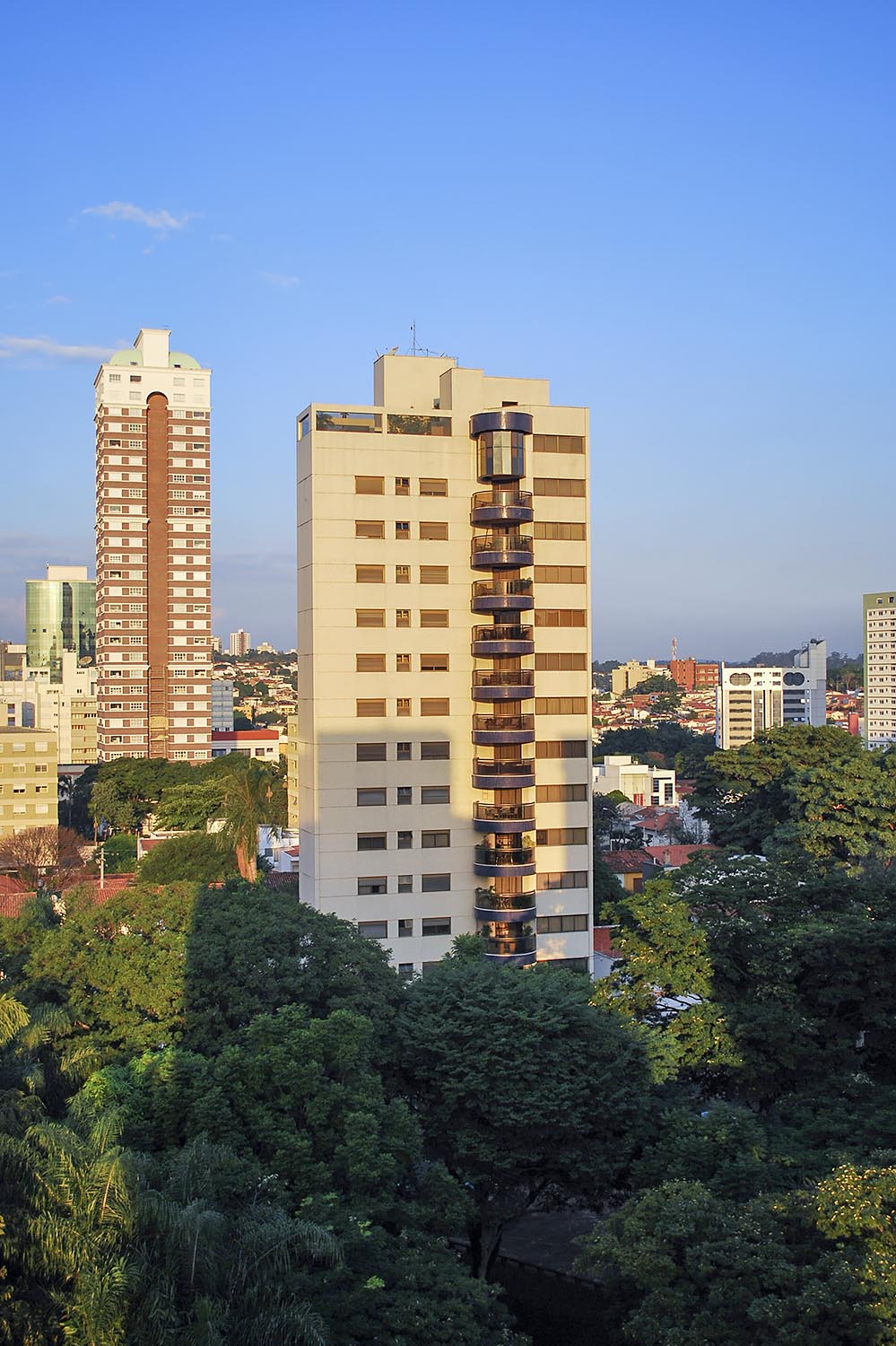 Dona Guilhermina