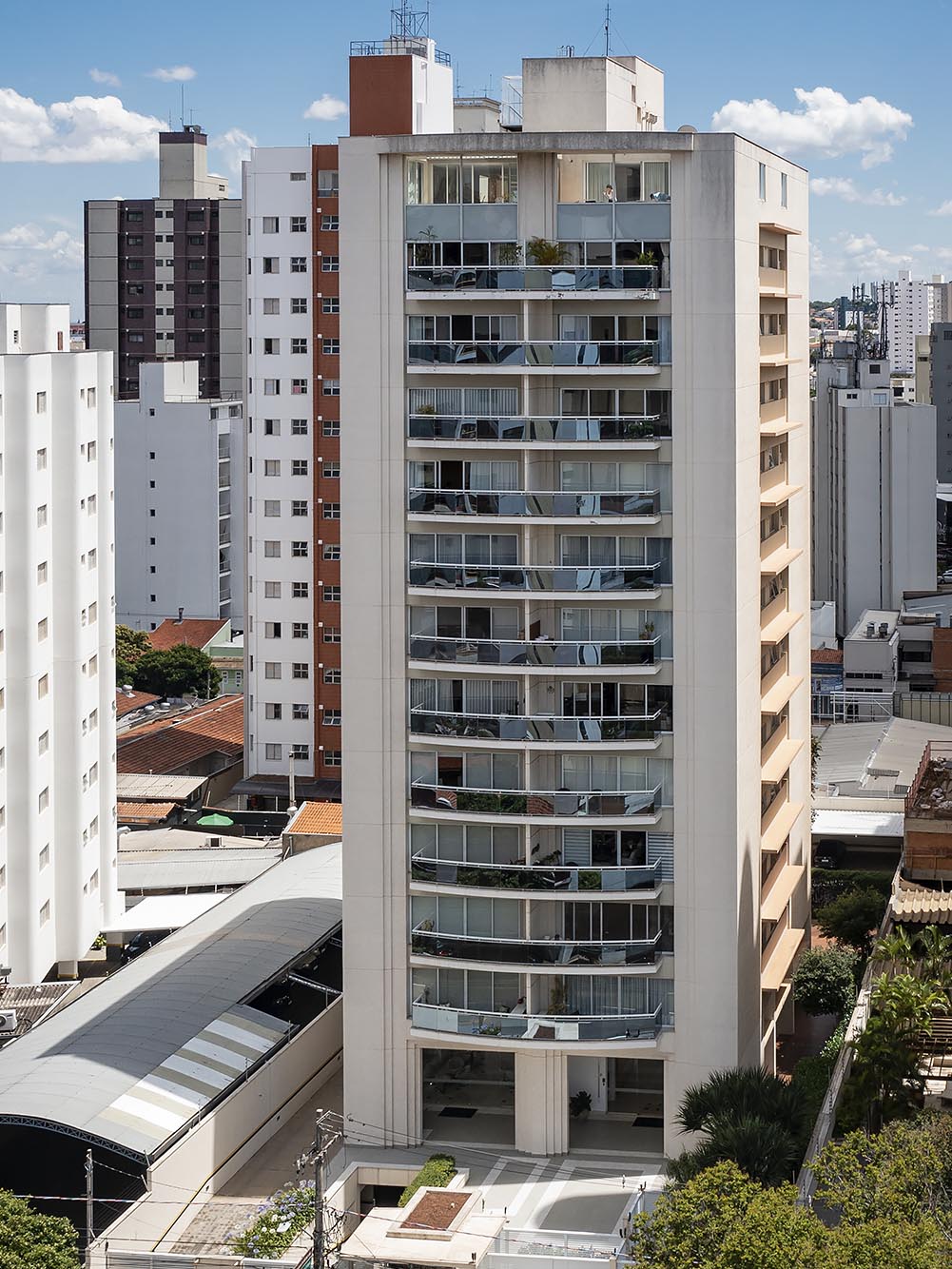 Mogno — perspectiva 11
