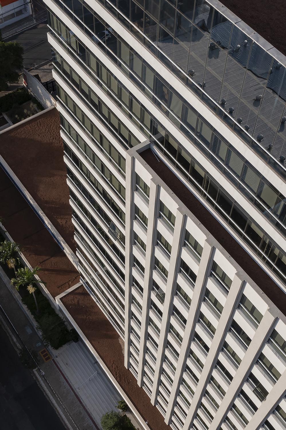 Montpellier — perspectiva 5