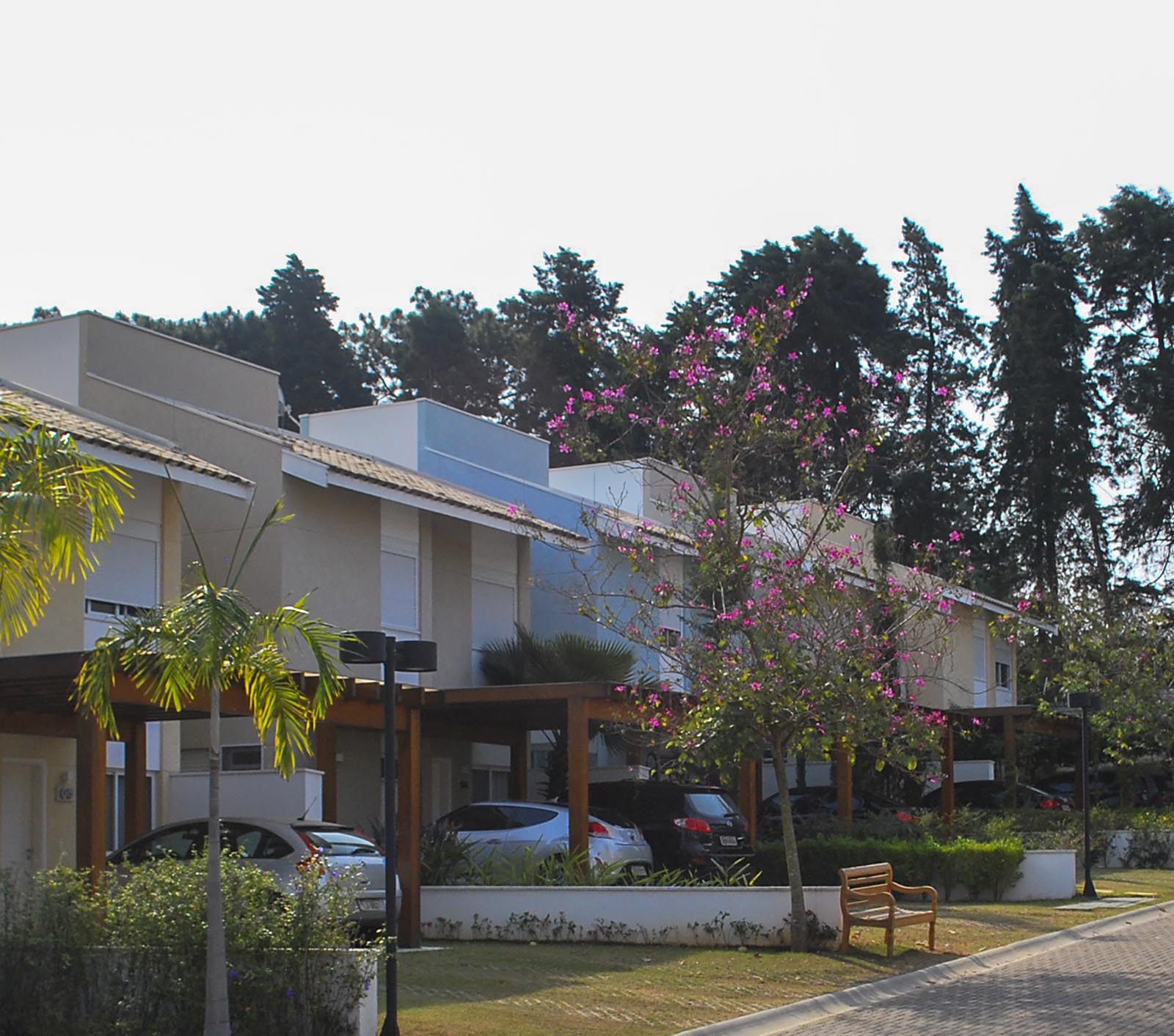 Petit Villeneuve